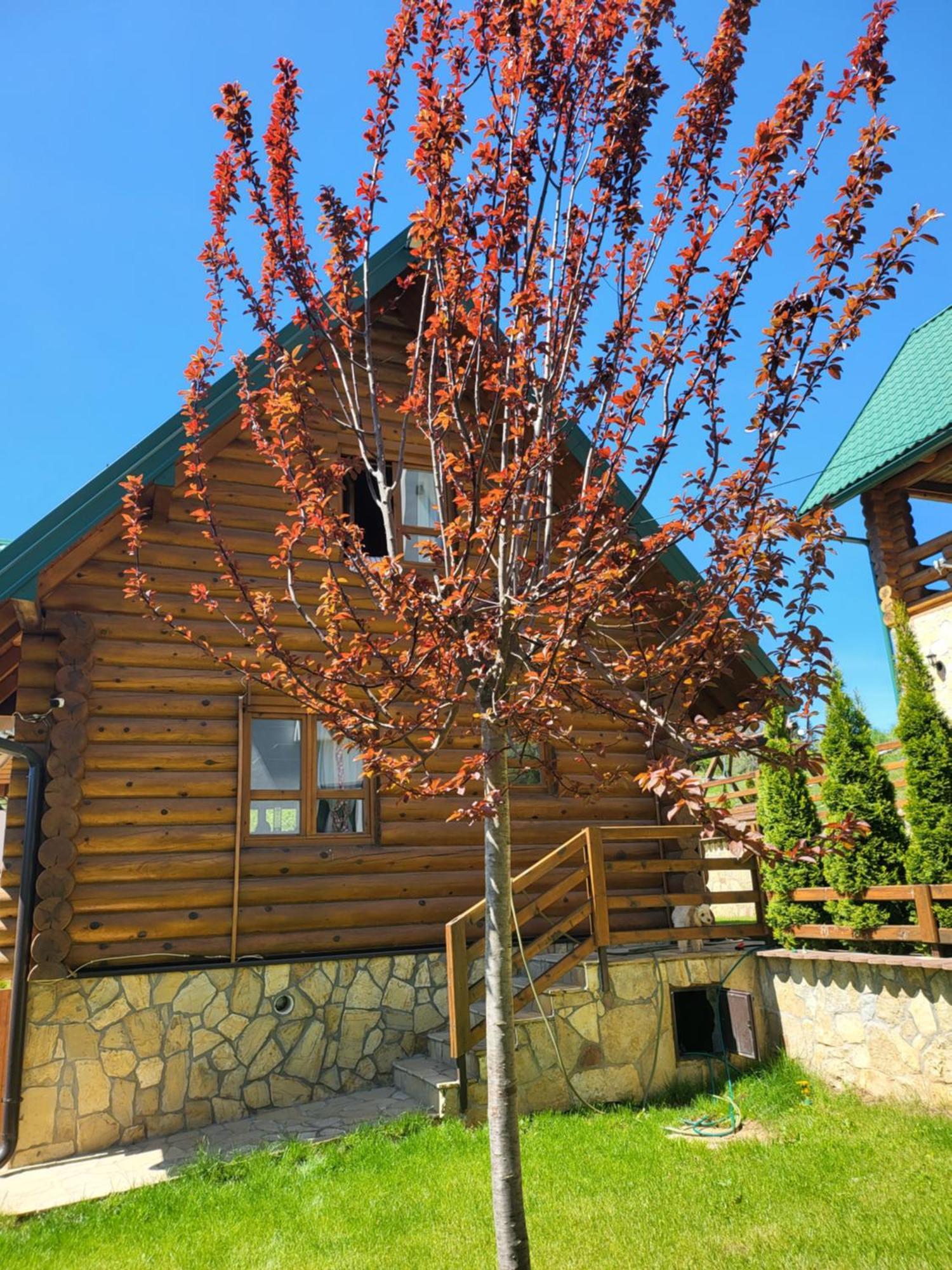 Zlatar Luxury Chalet - Trace Of Nature 2214 Nova Varoš Exteriér fotografie